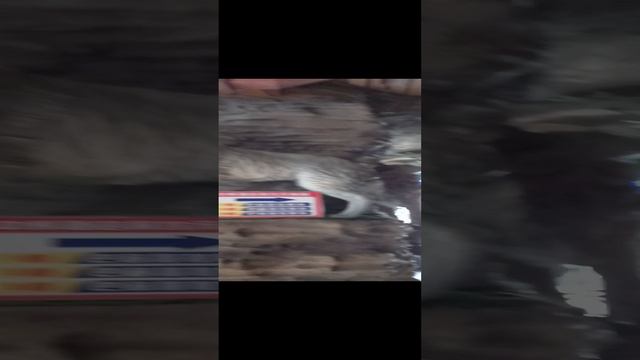 Китай.Маньчжурия!