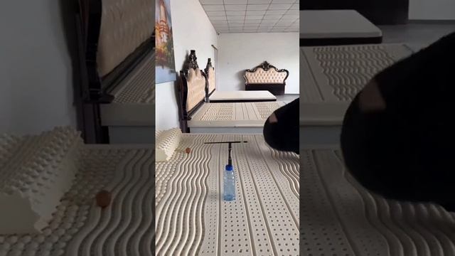 Латексный матрас. Хотели бы себе такой?