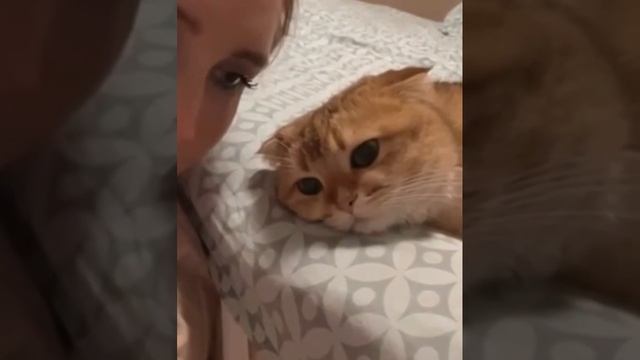 VID_20241105_214951_601.mp4