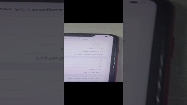 1000021558.mp4