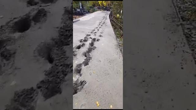 В Краснодарском крае мужчина застрял в бетоне ночью на кладбище