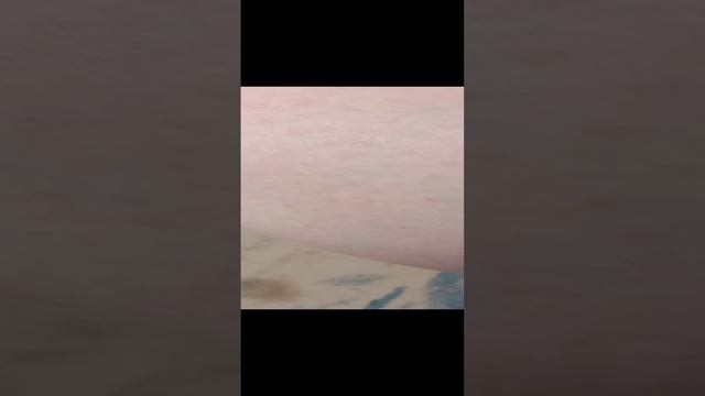 русские в каире река нил