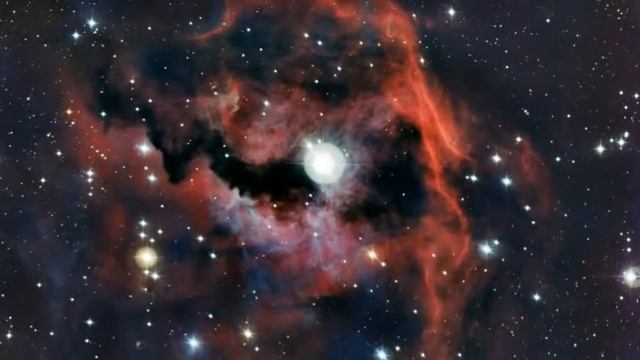 Zooming in on the Seagull Nebula (IC 2177).