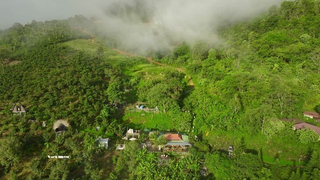 17328644-uhd_3840_2160_60fps