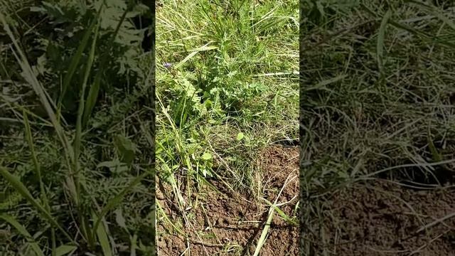 не спится, поехал на рыбалку