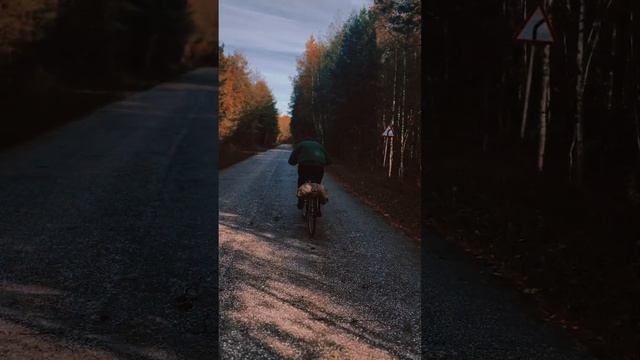 поле🌾🌾🌾