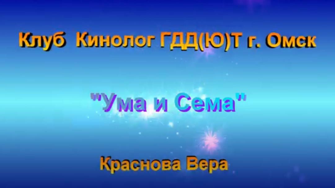Конкурс презентаций любимых питомцев. Клуб "Кинолог" ГДД(Ю)Т Автор Краснова Вера