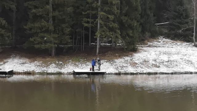 Forest Fishing 30.11