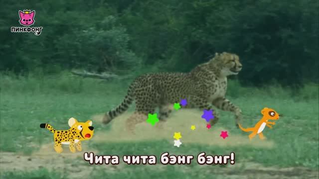 Гепард _Пинкфонг на русском