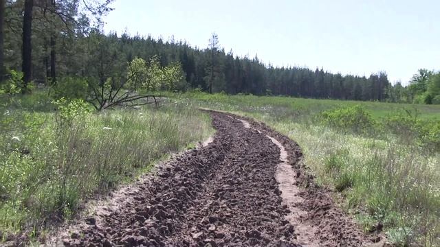 5. Экология от лесника. РАМКИ ДЛЯ ВИДОВ