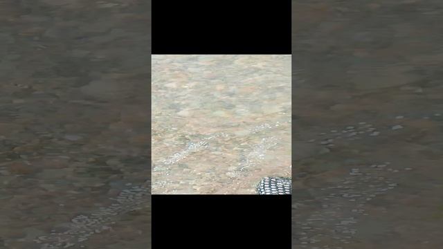 1000003096.mp4