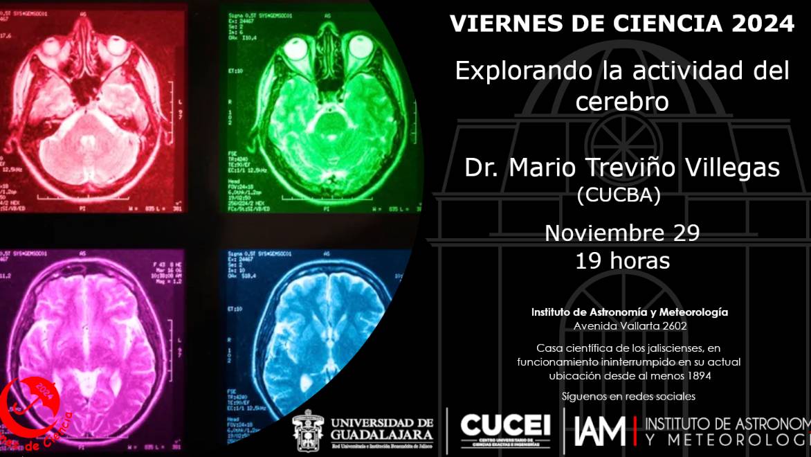 #ViernesDeCiencia 2024 🌙☂️
Explorando la actividad del cerebro
Dr. Mario Treviño Villegas