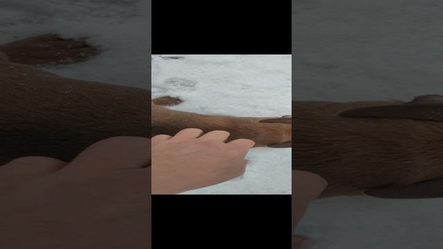 1000042542.mp4