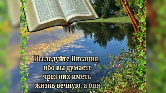 Наполняй себя Словом Божьим🙏🙏🙏