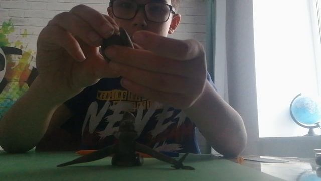 VID_20241130_155217.mp4