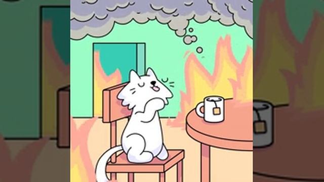 котик 11 серия