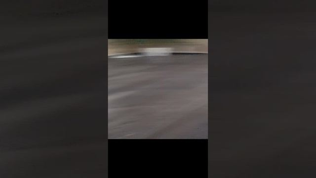 играем с Мишкой😹😸😻🐈