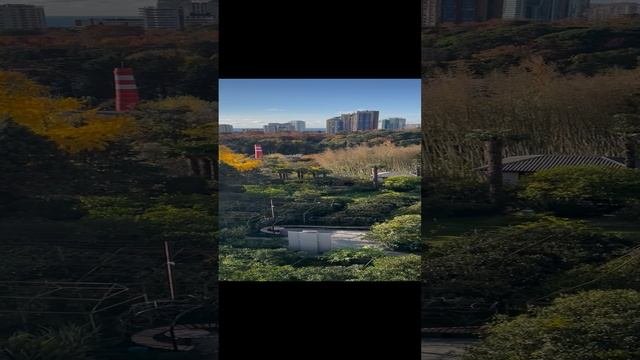 Купить апартаменты Сочи отель 5 звезд / недвижимость Сочи 2024