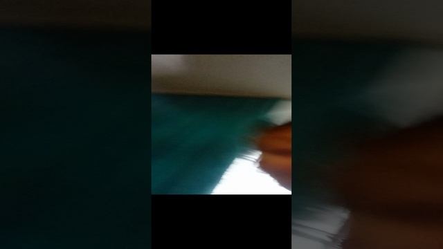 30-11-2024
