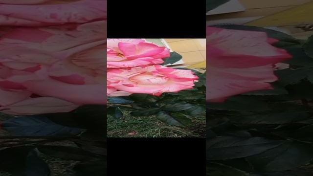 Анапа. Погода.