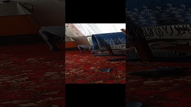1000005243.mp4