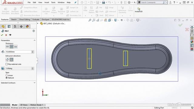 12 - Using Rib