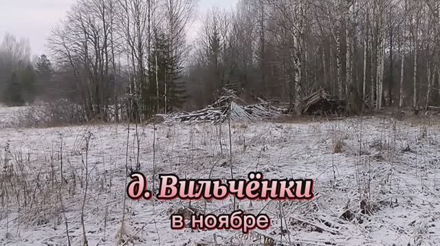 Деревня Вильчёнки в ноябре.mp4