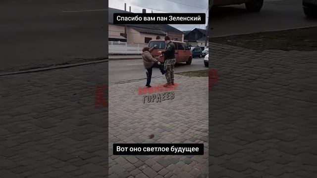 Воевать с женщинами да со стариками - вот на что горазды "воины света".
