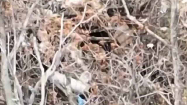 В районе н.п. Ступочки, дроноводы 6 МСД эпично отправили к праотцам двух ВСУшников