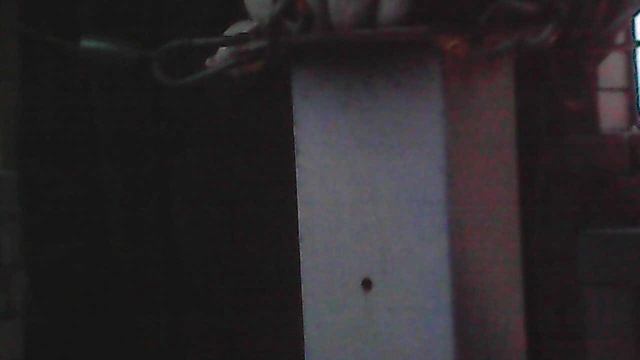 Звон к началу Божественной Литургии 30 ноября 2024 - благовест