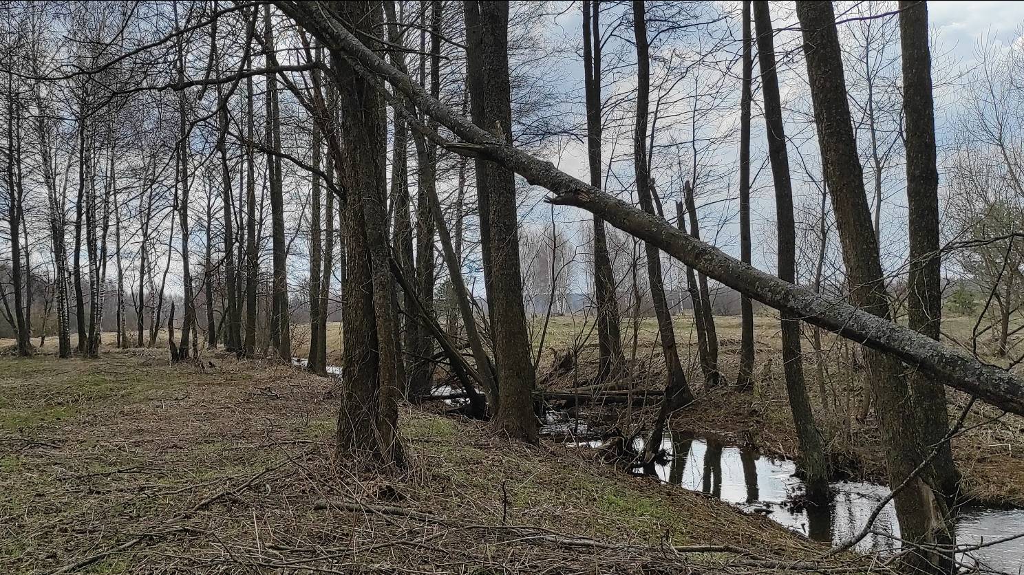 Коп в Муравлево