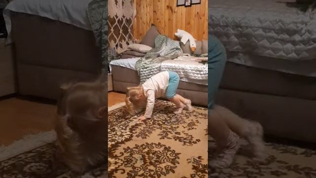 VID-20241129-WA0004