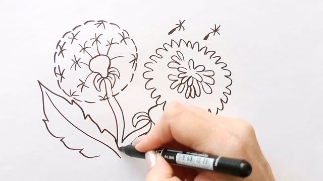 Как нарисовать ОДУВАНЧИКИ / раскраска для детей / Нарисуй Ка