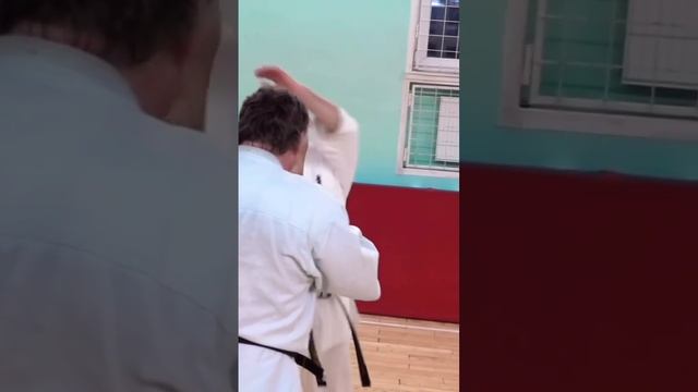 Кёкусинкай / Сихан Алексей Горохов / Ёко-гэри с протяжкой / Маркеры Маваси (2016)