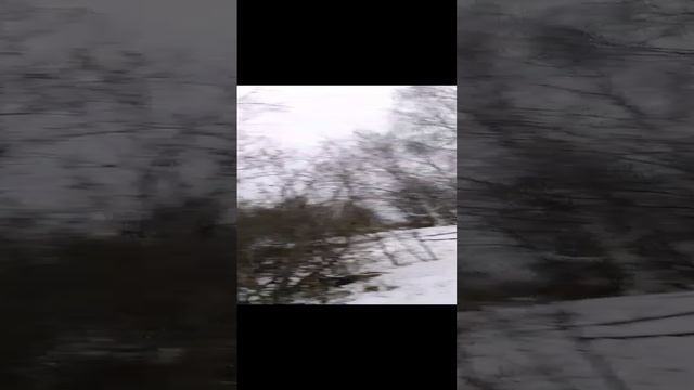ванёк идёт домой