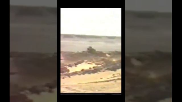 нива дакар