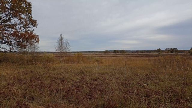 Осень.