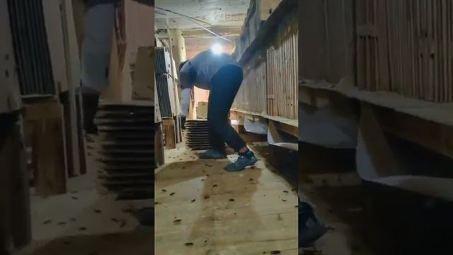 VID_20241126_123837_098.mp4