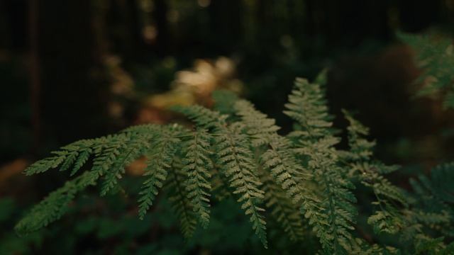 19216926-uhd_3840_2160_30fps