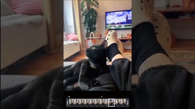 Круто зачитал