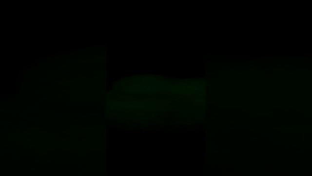 VID_20241130_110036.mp4