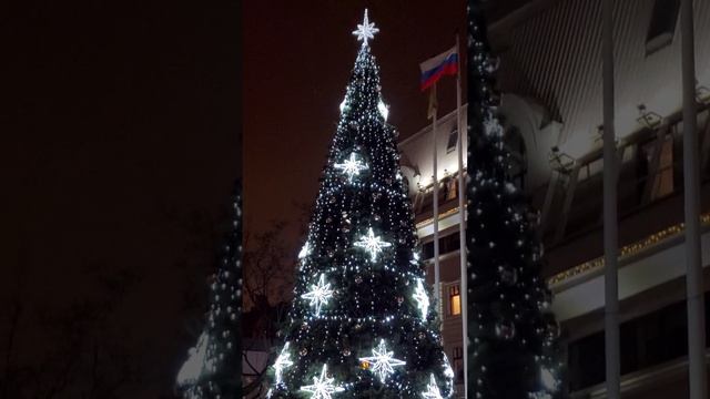 Сухаревская площадь 29.11.24г