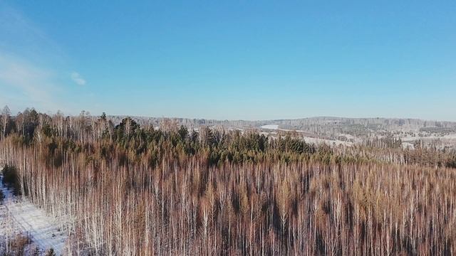DJI Neo