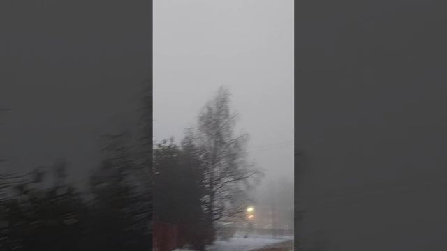 Туман в Подмосковье