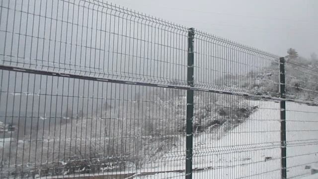 MVI_2768