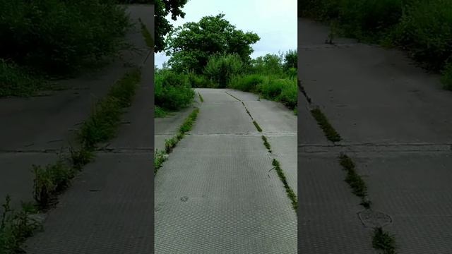 Океанариум. Домик артиллериста. Русский остров.