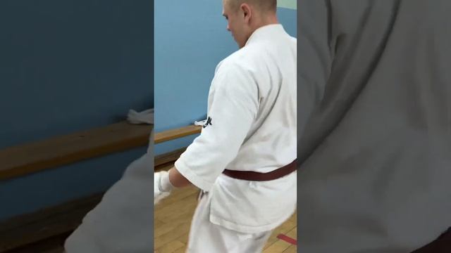 Кёкусинкай #381 / Центр Поларбудо / Учебные поединки / Кумитэ (12.11.24)