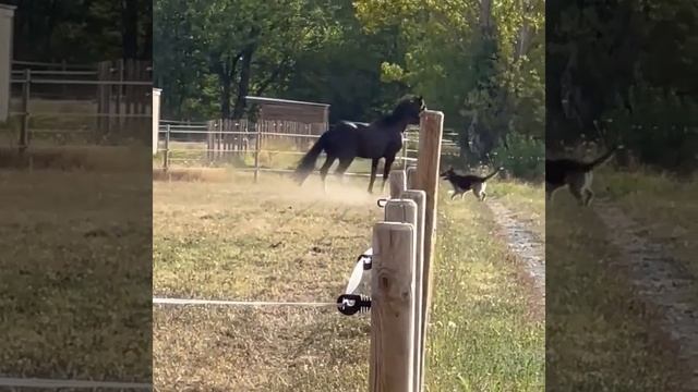 "Я из тебя сделаю спортсмена"