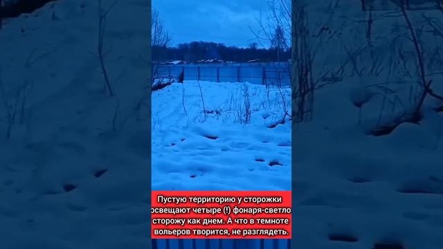 Современный приют для собак в г.Перми 
Прокомментируйте сами!