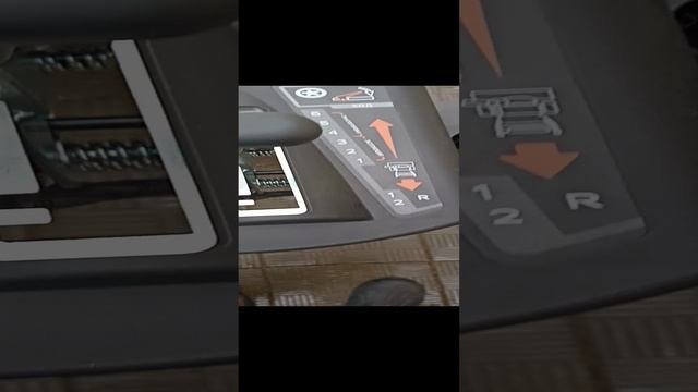 Новая игрушка